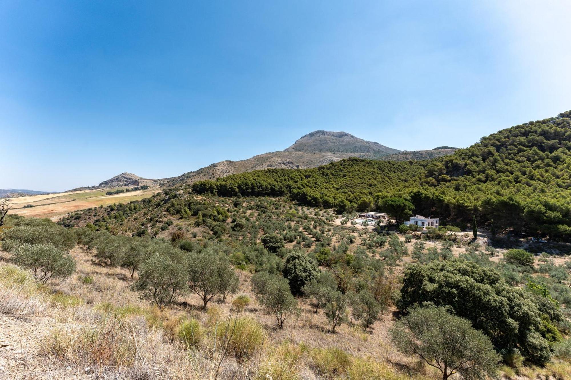 Cortijo La Zahurdilla Yunquera Exterior photo